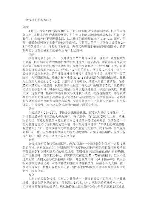 金钱树的养殖方法