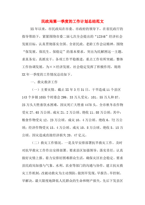 2019年民政局第一季度的工作计划总结范文