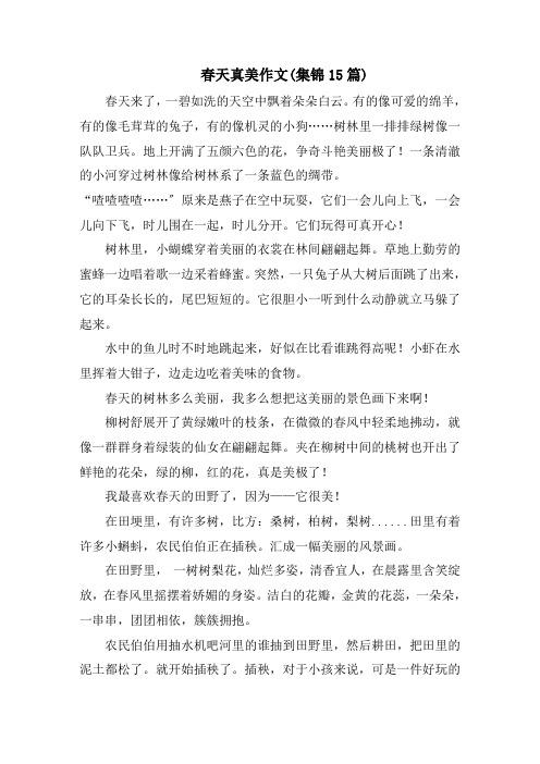 春天真美作文(集锦15篇)范文精选