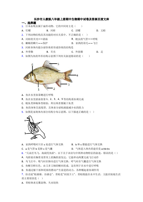 长沙市人教版八年级上册期中生物期中试卷及答案百度文库
