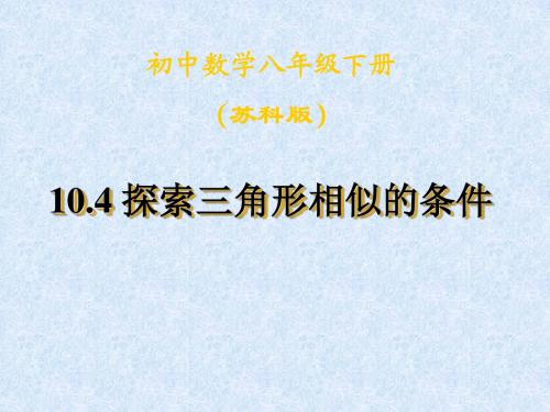8上数学10.4探索三角形相似条件4