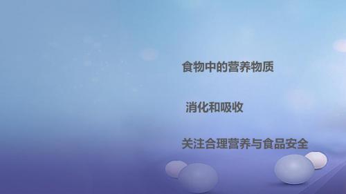 广东省中考生物第十二章人体的营养复习课件