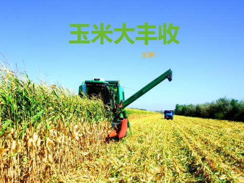 一年级下册美术课外班课件-8玉米大丰收 全国通用 (共16张PPT)