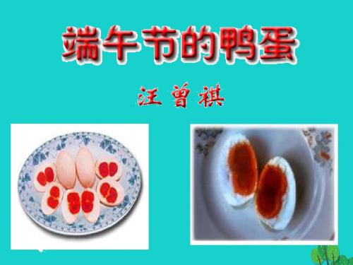 八年级语文下册第四单元17《端午的鸭蛋》课件3新人教版