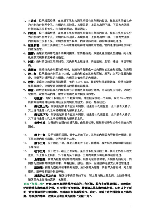 名词解释局部解剖
