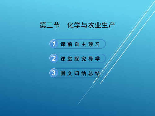 鲁教初中化学九下《11第3节 化学与农业生产》PPT课件 (1)