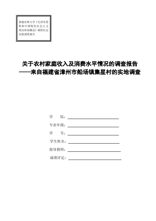 毛概实践报告