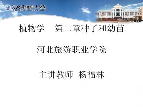 种子和幼苗 - 河北旅游职业学院精品课网站