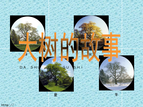 最新人美版小学美术二年级上册《第15课 大树的故事》PPT课件 (2)