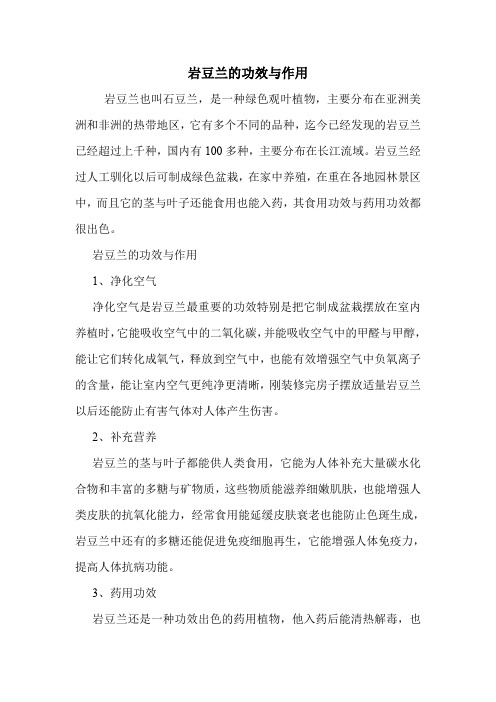 岩豆兰的功效与作用