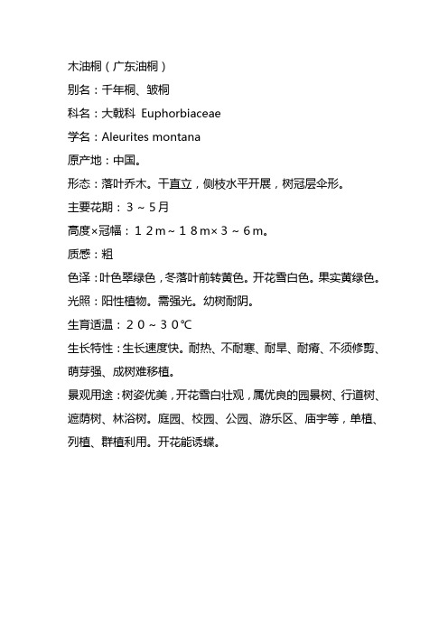 大戟科.木油桐(广东油桐)t
