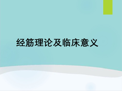 经筋理论及临床意义