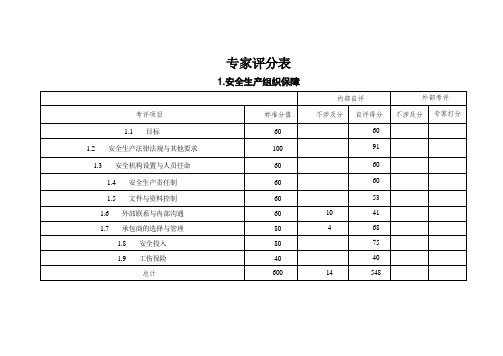 专家评分表1