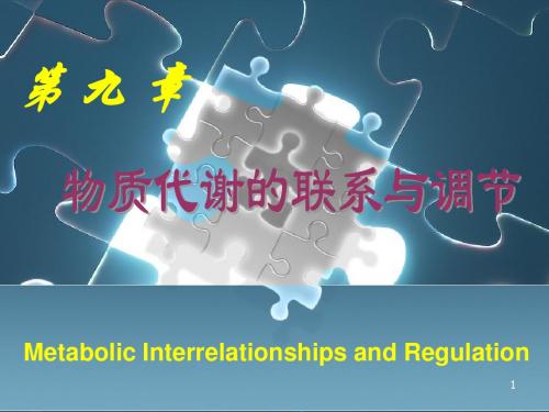 第九章物质代谢的联系与调节课件