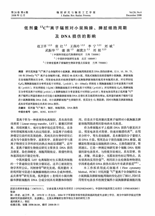低剂量 12C 6+离子辐照对小鼠胸腺、脾脏细胞周期及DNA损伤的影响