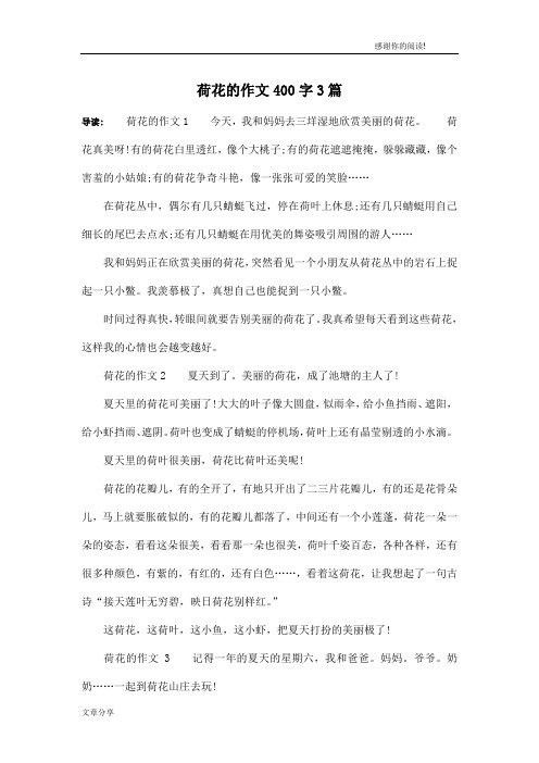 荷花的作文400字3篇
