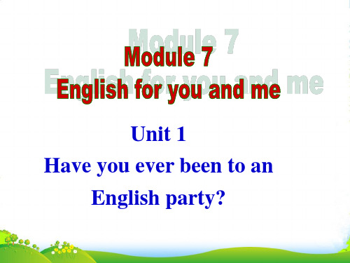 外研版九年级英语下册Module 7 English for you and me公开课课件