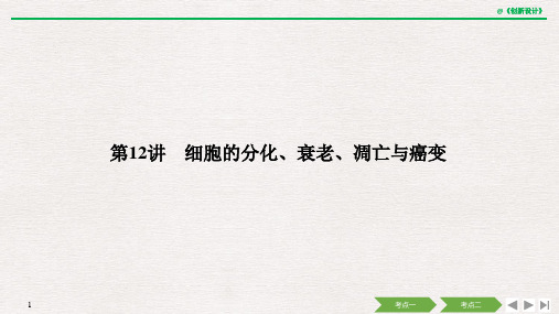 第12讲 细胞的分化、衰老、凋亡与癌变