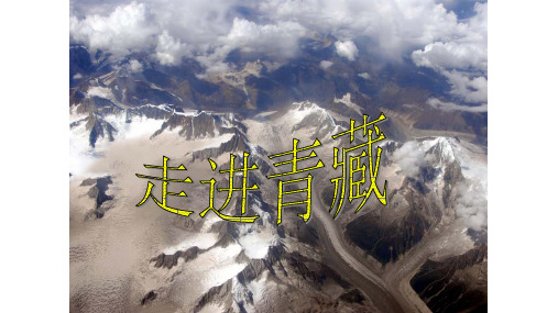 青藏地区自制
