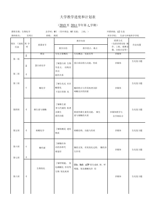 大学教学进度和计划表