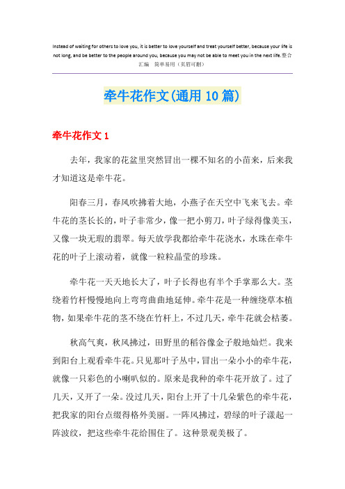 牵牛花作文(通用10篇)