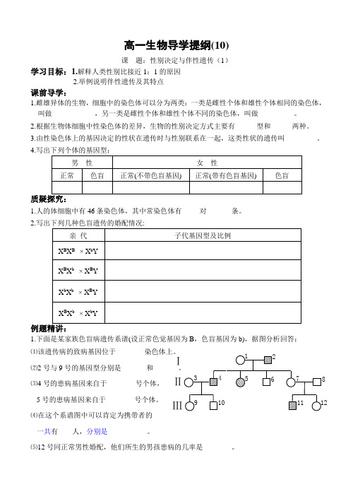 性别决定与伴性遗传一