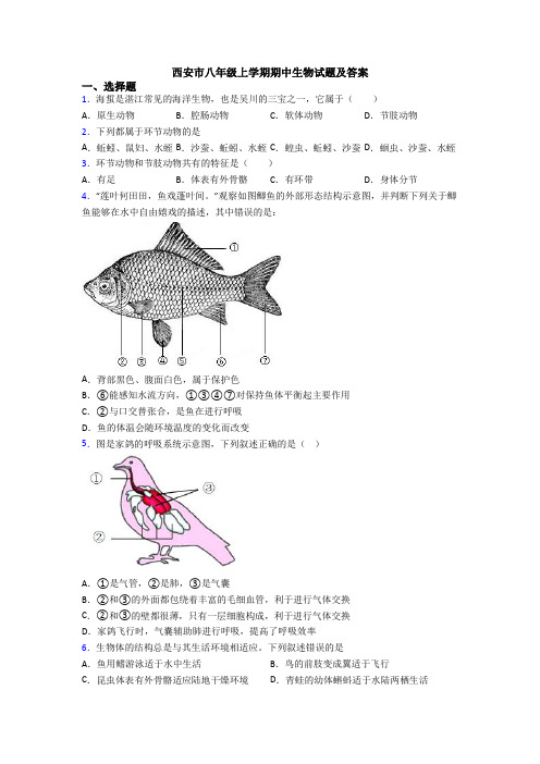 西安市八年级上学期期中生物试题及答案