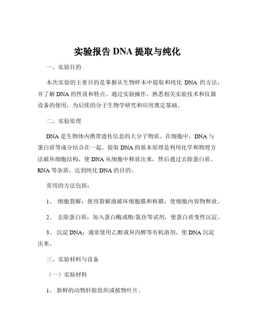 实验报告DNA提取与纯化