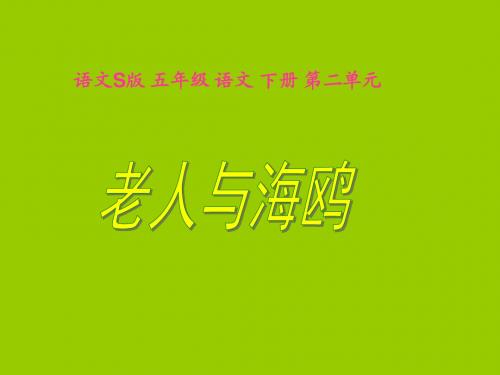S版语文小学五年级下册《老人与海鸥PPT课件》优秀教学课件