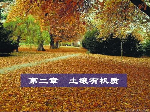 第二章 土壤有机质