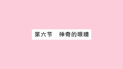 第4章  第6节 神奇的眼睛—2020年秋教科版物理八年级上册课时作业课件
