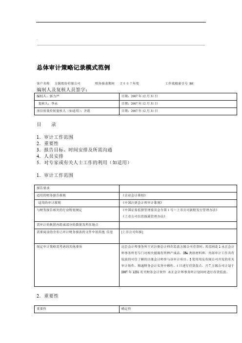 总体审计策略记录模式范例