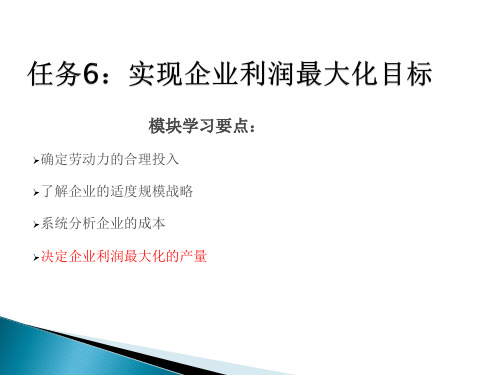 12.实现企业利益最大化
