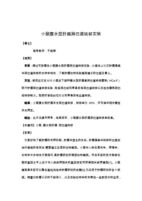 小鼠腹水型肝癌淋巴道转移实验