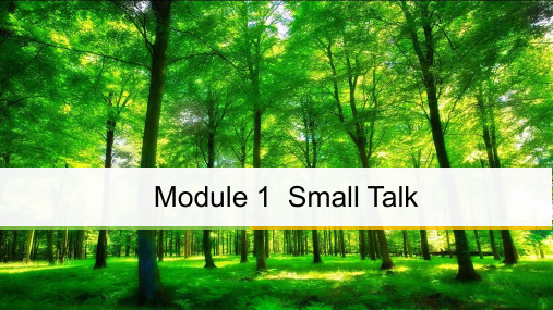 高中英语选修6外研版课件：Module1+Period+One