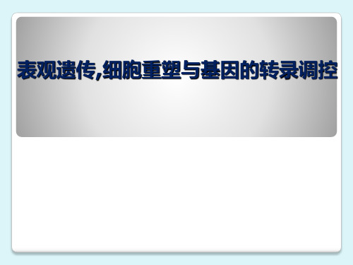 表观遗传与疾病-表观遗传,细胞重塑与基因的转录调控