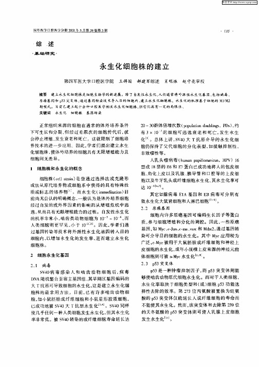 永生化细胞株的建立