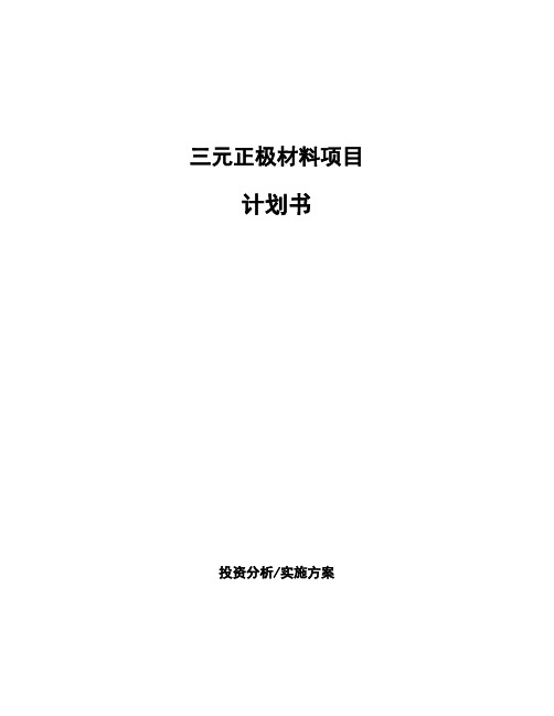 三元正极材料项目计划书
