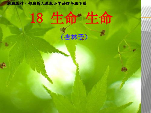 小学四年级下册语文人教版第18课《生命 生命》课件