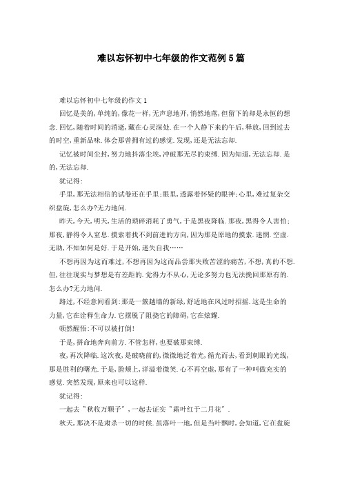 难以忘怀初中七年级的作文范例5篇