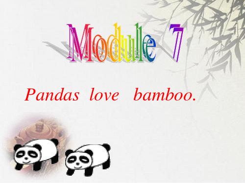 外研社(三起)六年级上册英语pandas love bamboo (共19张PPT)