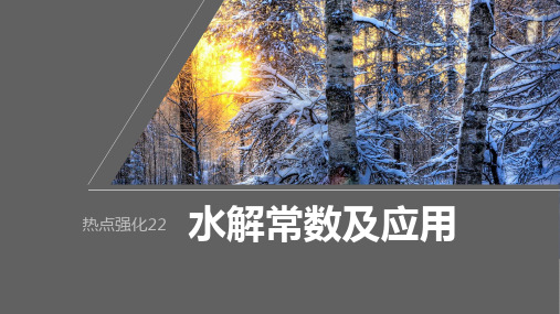 2024届高考一轮复习化学课件(人教版) 水溶液中的离子反应与平衡 水解常