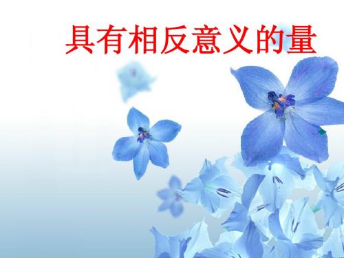 1.1具有相反意义的量