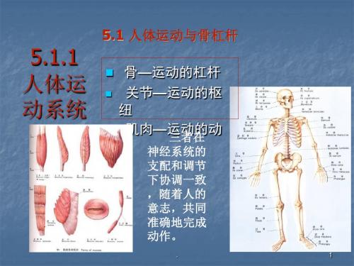 (医学课件)骨科人体生物力学与施力特征分析ppt演示课件