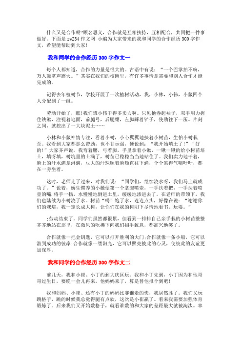 我和同学的合作经历300字作文