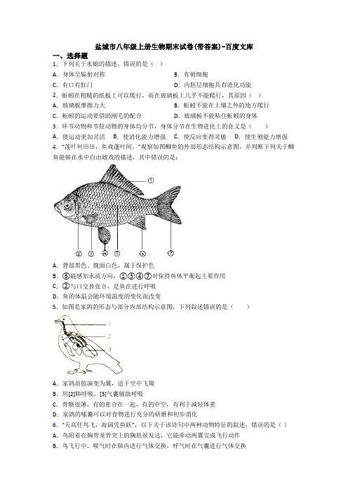 盐城市八年级上册生物期末试卷(带答案)-百度文库