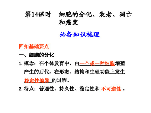 生物高考复习 细胞的分化衰老凋亡 优质课件