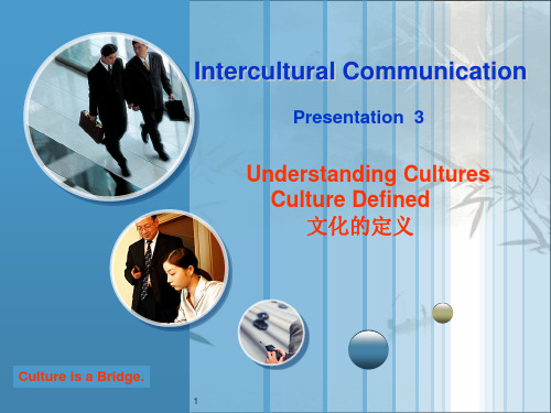 文化的定义(英文版) PPT