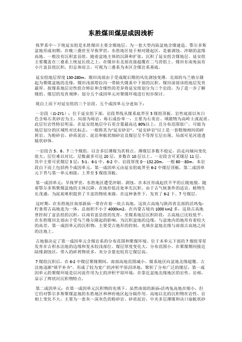 东胜煤田煤层成因浅析