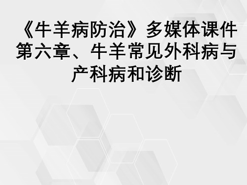 《牛羊病防治》多媒体课件第六章牛羊常见外科病与产科病与诊断